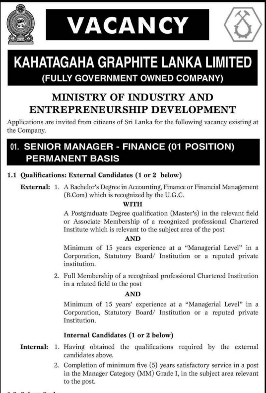 Senior Manager 